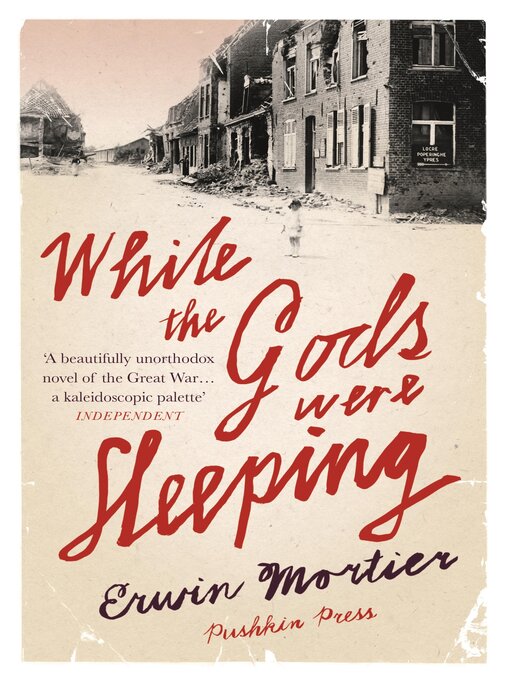 Title details for While the Gods Were Sleeping by Erwin Mortier - Available